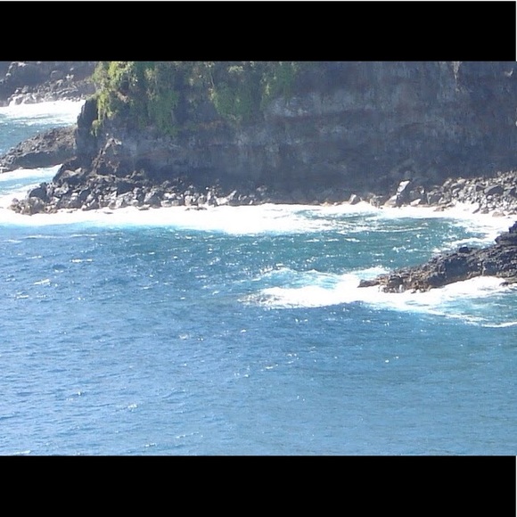 Meet your Posher, Shanna - Picture 1 of 1